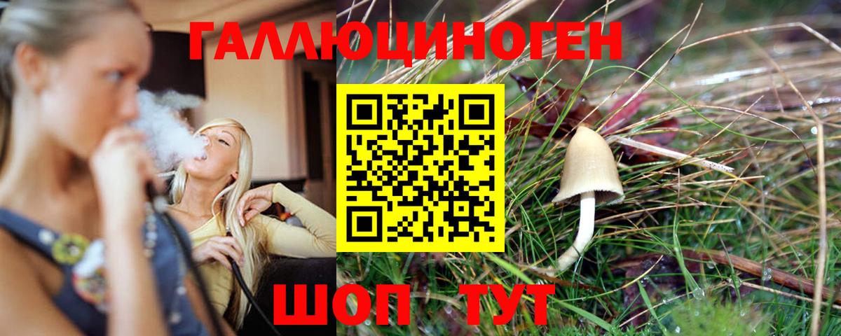 Псилоцибиновые грибы прущие грибы Славянск-на-Кубани